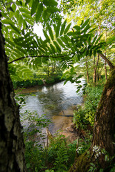 Similar image 2927986