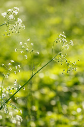 Similar image 2927990