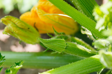 Similar image 2928000