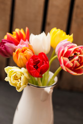 Similar image 2928003