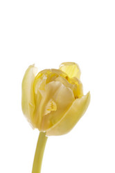 Similar image 2928008