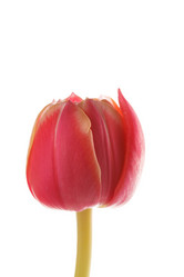 Similar image 2928010