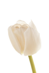 Similar image 2928011