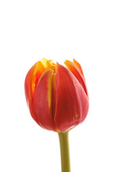 Similar image 2928015