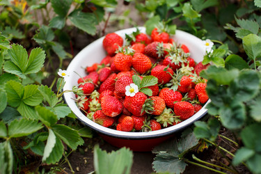 Similar image 2928026