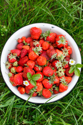 Similar image 2928027