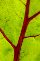 Similar image 2928030