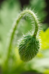 Similar image 2928032