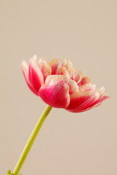 Similar image 2928034