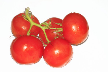 Similar image 2928039