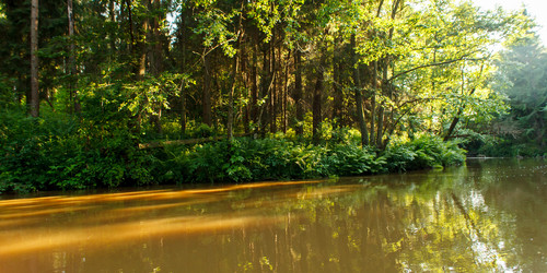 Similar image 2928078