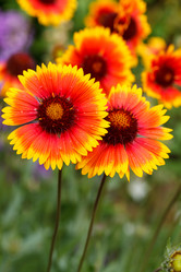 Similar image 2928092