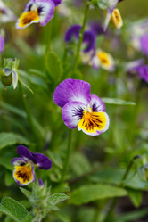 Similar image 2928093