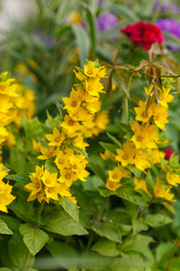 Similar image 2928094