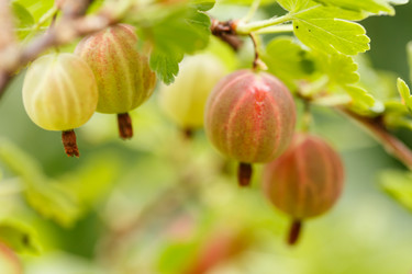 Similar image 2928098