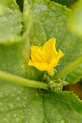 Similar image 2928101