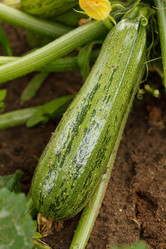 Similar image 2928108