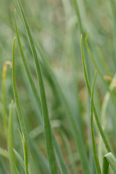 Similar image 2928110