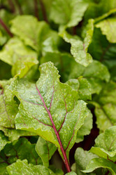 Similar image 2928111