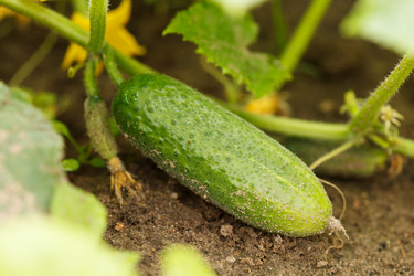 Similar image 2928112