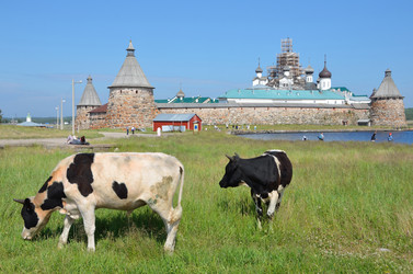 Similar image 2928133