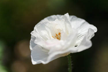 Similar image 2928135