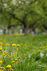 Similar image 2928139