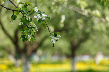 Similar image 2928140