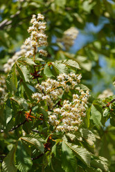 Similar image 2928141