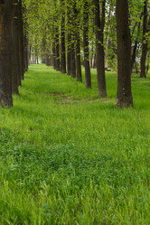 Similar image 2928143