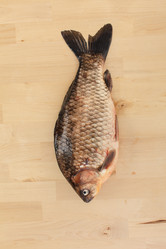 Similar image 2928144