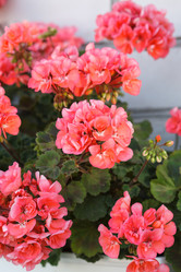 Similar image 2928145