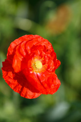 Similar image 2928147