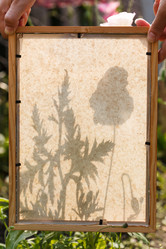 Similar image 2928148