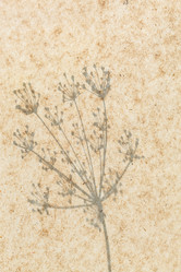 Similar image 2928149