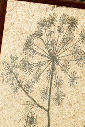 Similar image 2928150