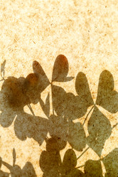 Similar image 2928151