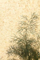 Similar image 2928152