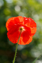 Similar image 2928154