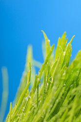 Similar image 2928159