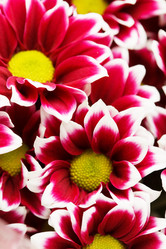 Similar image 2928165