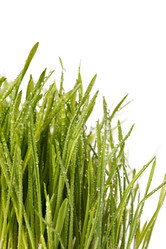 Similar image 2928173