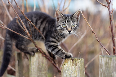 Similar image 2928187