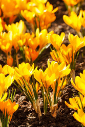 Similar image 2928192