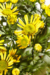 Similar image 2928195