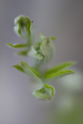 Similar image 2928198