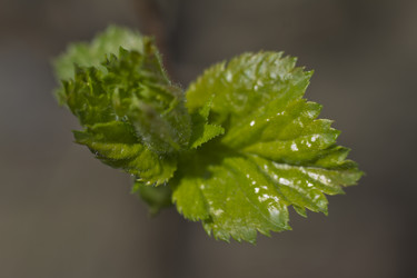 Similar image 2928200