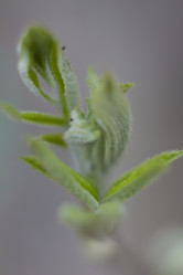 Similar image 2928203