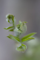 Similar image 2928204