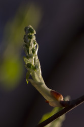 Similar image 2928205